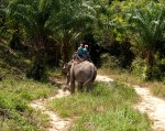 Co vás může překvapit na dovolené v Thajsku